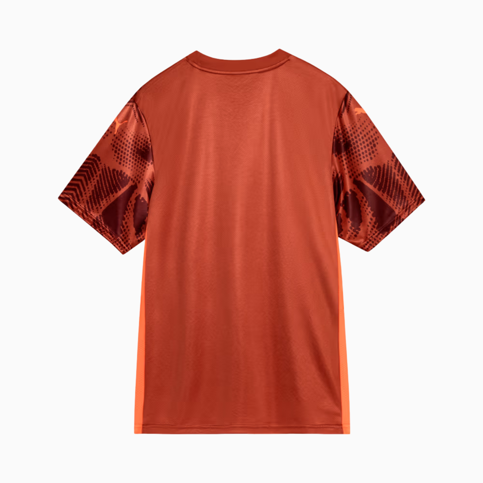 Jersey Palmeiras 2025/26 Goalkeeper II
